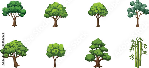 Set of green trees and bamboo, flat vector illustration, forest elements, nature icons, cartoon style, isolated on white background