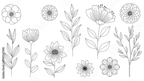 Collection of hand-drawn floral elements including various flower heads and leafy stems in a minimalist black line art style for elegant designs.