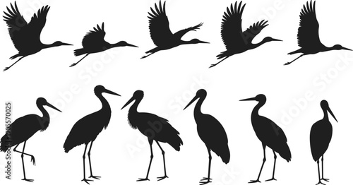 Elegant abstract black silhouette vector illustration featuring intricate line art details, modern artistic design, creative decorative pattern, perfect for backgrounds, posters, branding.
