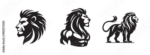 Majestic lion illustrations: regal head profiles and full body, king of the jungle, powerful predator vector art