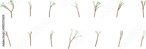 Variations of bare and leafy tree branches
