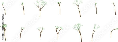 Collection of various plant species with distinctive features