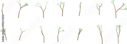 Collection of bare tree branches with buds and leaves
