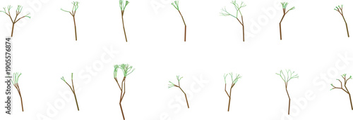 Collection of bare tree branches and stems with some foliage