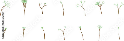 Illustrations of various tree growth stages and types