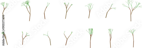 Variations of bare tree branches in different growth stages