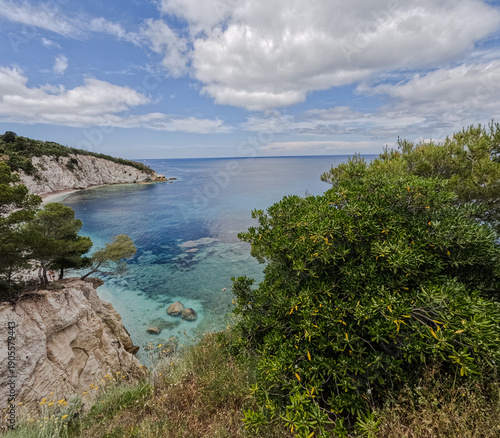 The seashore from above. A view of the trees and clear water in the bay.