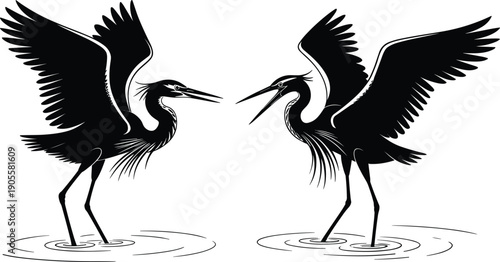 Elegant crane bird silhouettes with wings spread standing in water, wildlife nature illustration isolated on white background decorative design