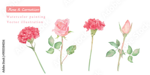 カーネーションとバラの水彩ボタニカルベクターイラストセット