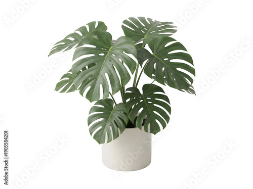 Moderne Monstera deliciosa