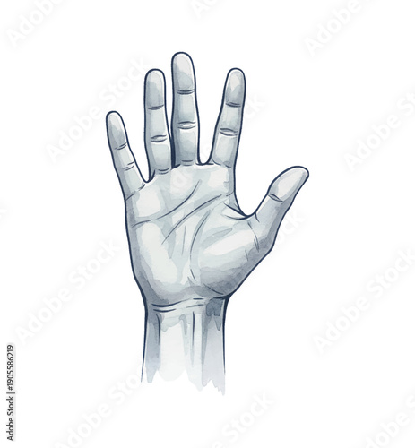 An Open White Hand with Fingers Spread Showing a Stop Gesture in a Detailed Illustration