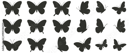 Butterfly Silhouettes Insect Vector Illustration, Flying Garden Butterfly Wildlife Art With Black Outline For Decorative Nature Design.