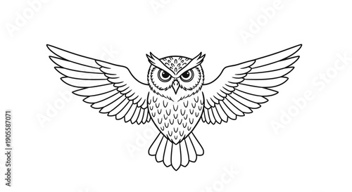 Majestic Owl With Spread Wings Line Art