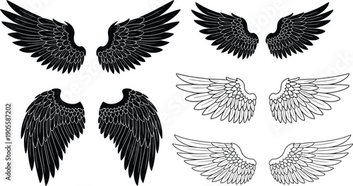 Collection of stylized wing silhouettes in black and white, detailed feather patterns for fantasy art, tattoo design, angel wings, decorative illustration, creative graphic elements