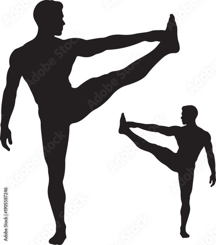 Two black silhouettes of men performing a high kick isolated on transparent background