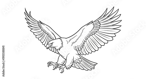 Eagle Flying Outline Illustration - Majestic Bird of Prey with Open Wings