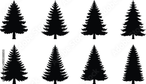 Set of eight black conifer tree silhouettes with diverse evergreen shapes, perfect for forest design, outdoor landscape illustration, wilderness nature art, and botanical vector graphics.