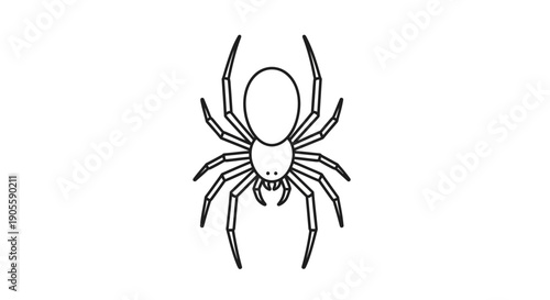 Spider Drawing Outline, Arachnid Insect Vector Art, Black and White Line Art