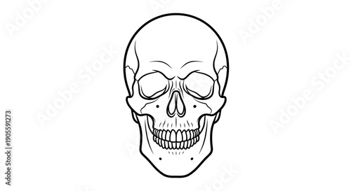 Simple Line Art Human Skull Icon, Black and White Outline Drawing