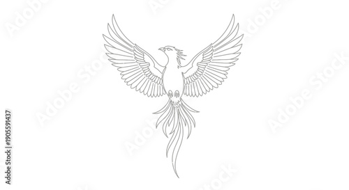 Phoenix Bird Outline Drawing - Mythical Creature Symbol of Rebirth