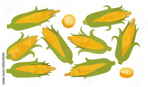 Golden corn vegetable vector set with fresh organic maize cobs and husks isolated on white background