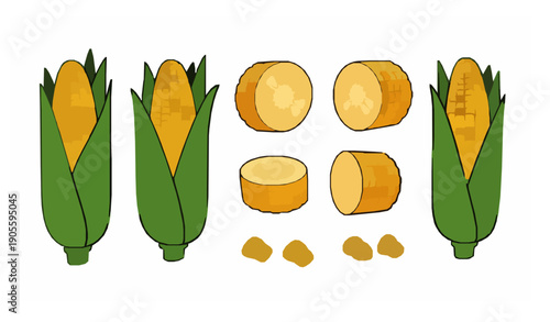 Sweet corn vegetable cartoon vector collection with whole and sliced maize isolated on white