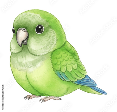 Adorable green baby parrot with big innocent eyes looking curiously sideways