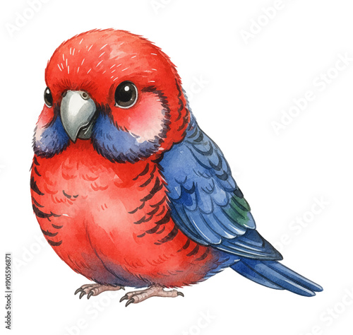 Adorable Chubby Red and Blue Bird with Big Eyes Cute Watercolor Illustration of a Little Parrot