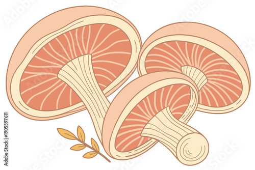 Digitally enhanced macro vector of inverted wild mushroom caps with soft peach and blue palette, featuring clear gill details.