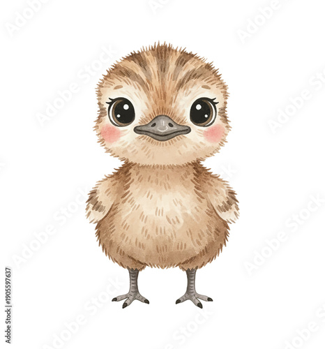 Cute baby ostrich chick standing adorable with big eyes and rosy cheeks a watercolor illustration