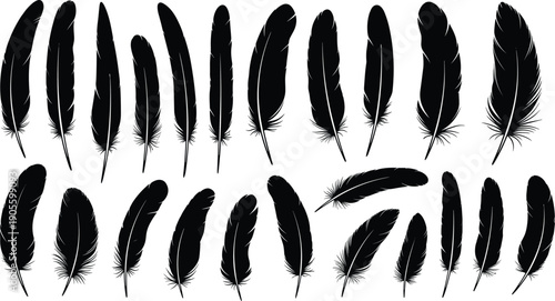 Black feather silhouette collection with realistic bird plumage shapes, decorative natural vector elements set isolated on white background