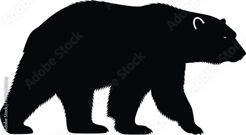Black bear silhouette vector illustration in side view, minimalist wildlife animal design, strong natural shape, forest fauna symbol, bold flat graphic for branding and signage