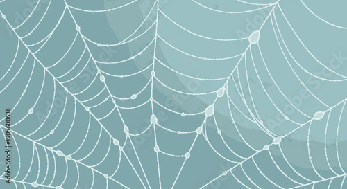 Spider Web Closeup with Intricate Details.