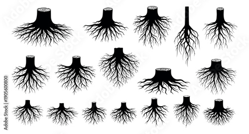 Black silhouette tree roots set featuring various detailed underground networks for natural and environmental concepts