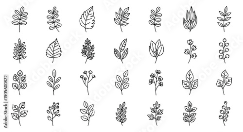 Hand drawn line art botanical elements set featuring diverse leaves, floral sprigs, and berries for nature and organic designs