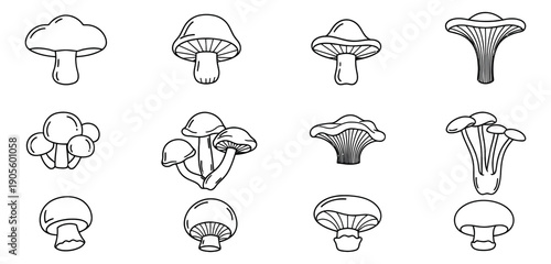 Hand drawn line art mushroom icon set featuring various fungi species for culinary and nature designs