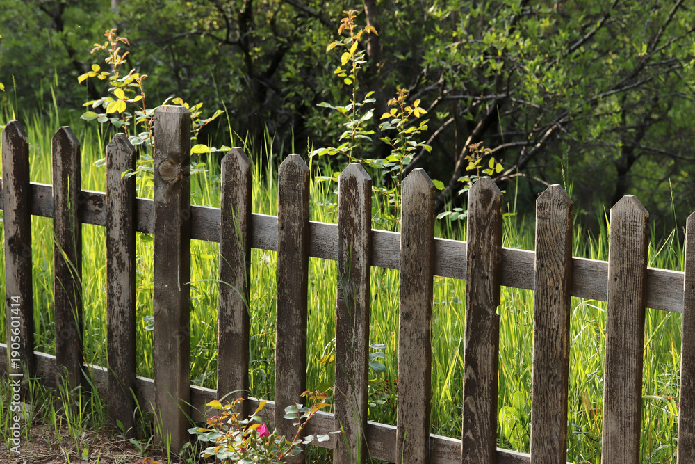 Naklejka premium View of a wooden fence into the nature