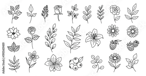 Hand drawn botanical line art set featuring various leaves, flowers, and berries for nature designs