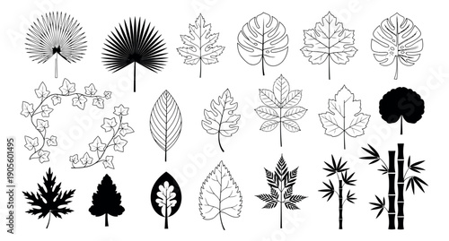 Hand drawn line art and silhouette botanical set featuring various tropical and deciduous leaves, ivy, and bamboo for nature-themed designs