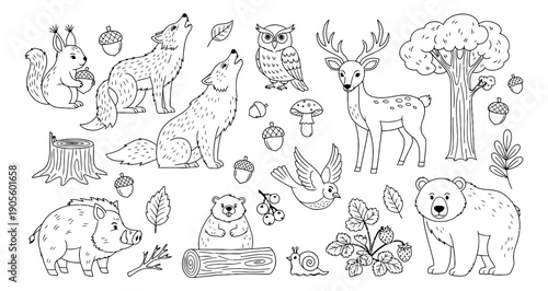 Hand drawn line art forest animals and woodland elements set featuring various creatures including a squirrel, wolves, an owl, a deer, a bear, a boar, and a bird, plus natural items
