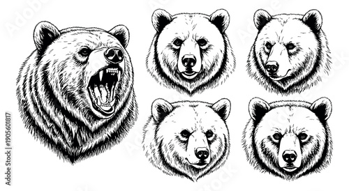 Hand drawn line art bear heads set featuring different expressions for various design projects
