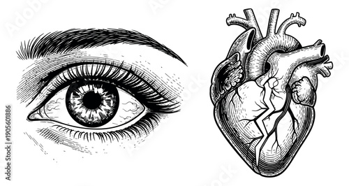 Hand drawn vintage line art anatomy set featuring a human eye and heart for medical and science concepts