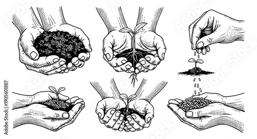Hand drawn line art planting process set featuring hands, soil, seeds, and sprouting seedlings for environmental, gardening, or new beginnings concepts