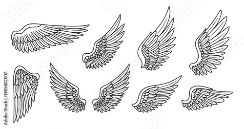 Hand drawn line art wings set featuring various feathered shapes and styles for creative design elements