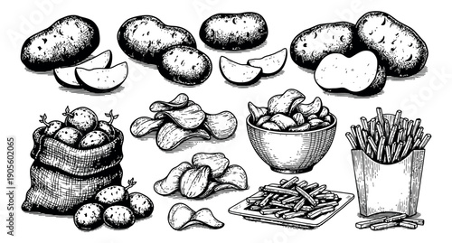 Hand drawn line art potato dishes and ingredients set featuring whole potatoes, slices, chips, and french fries for restaurant menus