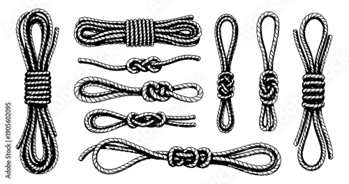 Hand drawn line art rope and knot set featuring various coiled ropes and tied knots for nautical and climbing use