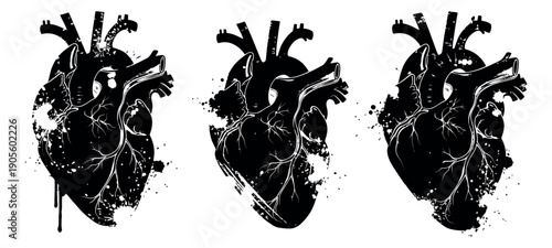 Grunge anatomical human heart set featuring hand drawn vessels and splatter effects for medical and emotional concepts