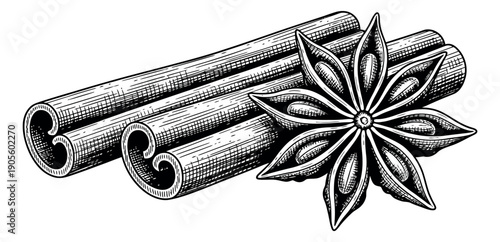 Hand drawn line art spices set featuring cinnamon sticks and star anise for cooking and flavoring