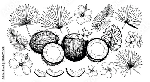 Hand drawn line art tropical elements set featuring coconuts, palm leaves, hibiscus and plumeria flowers for summer design