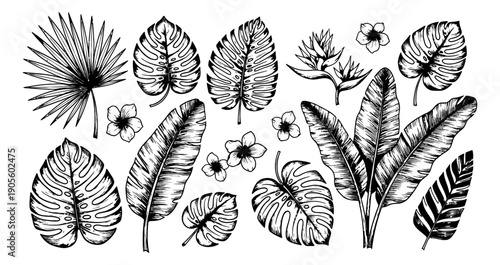 Hand drawn botanical plants set featuring tropical leaves and exotic flowers for summer designs and nature themes